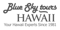 Blue Sky Tours logo