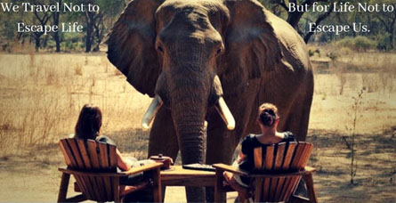 two people sitting in chairs outside with an elephant in front of them
