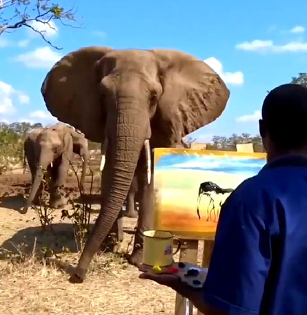 person painting an elephant right in front of them