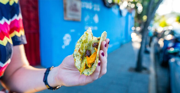 hand holding a taco