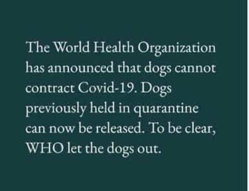The Word Health Organization has announced that dogs cannot contract Covid-19. Dogs previously held in quarantine can now be released. To be clear, WHO let the dogs out