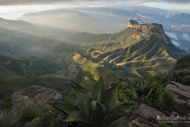 Sierra Gorda