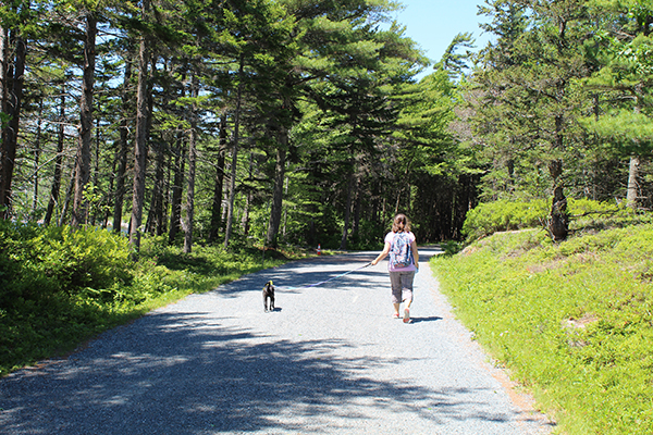 Acadia National Park in Maine