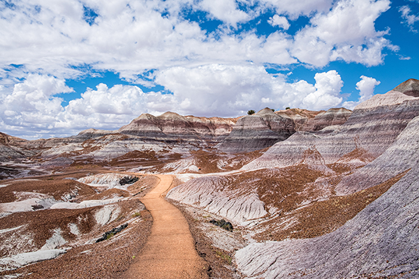 Petrified Forest National Park in Arizona