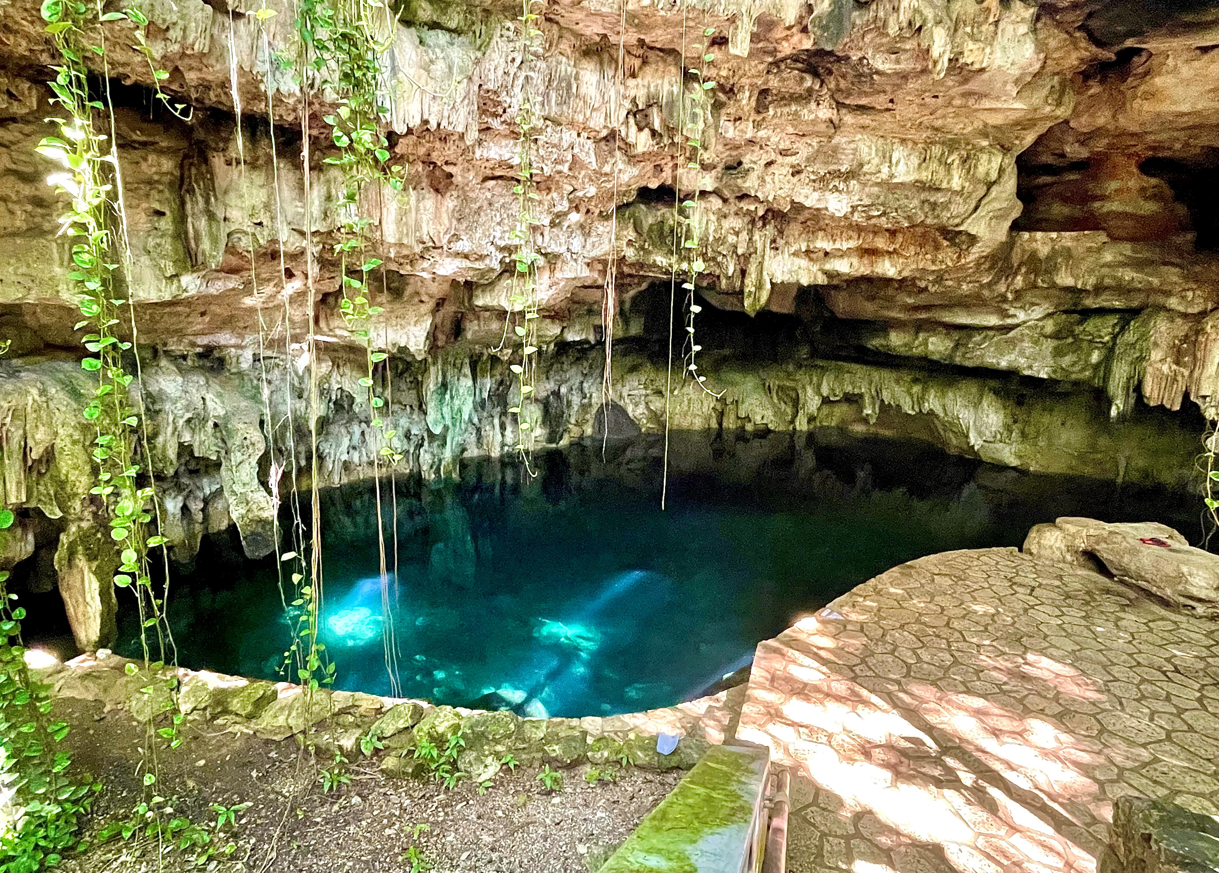 Cenote Carlota at Cenotes Hacienda Mucuyche. (photo by Codie Liermann)